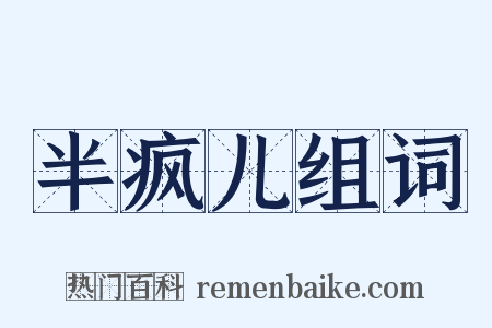 半疯儿组词是什么意思的图片